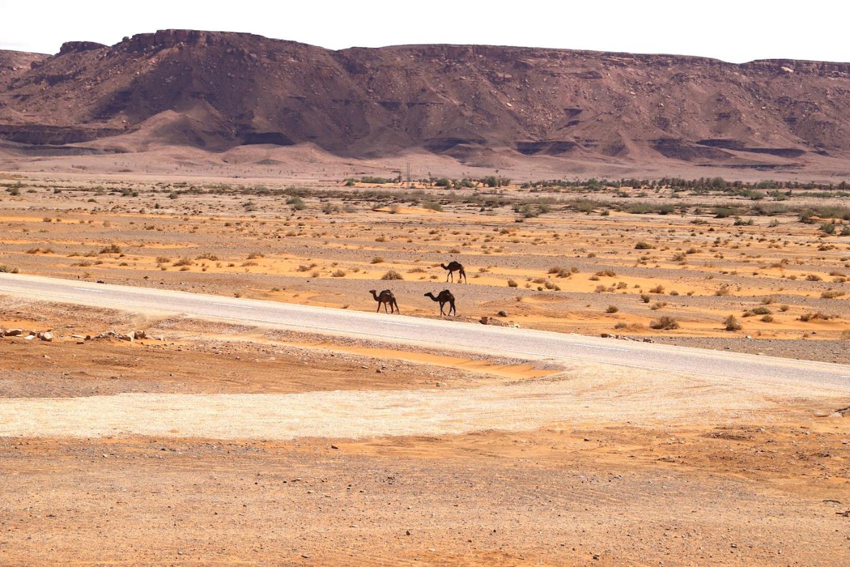 Porte De Sahara Ouzina Экстерьер фото